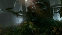 The Witcher 2: Assassins of Kings