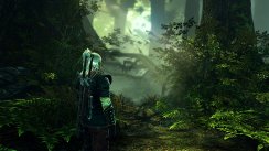The Witcher 2: Assassins of Kings