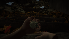 Datura