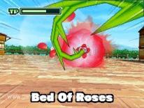 Inazuma Eleven 2: Firestorm/Blizzard