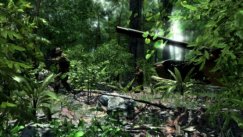 Crysis