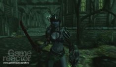 The Elder Scrolls IV: Oblivion: Shivering Isles
