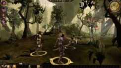 Dragon Age: Origins