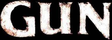 Gun