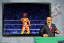 WWE Wrestlefest
