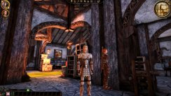 Dragon Age: Origins
