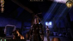 Dragon Age: Origins