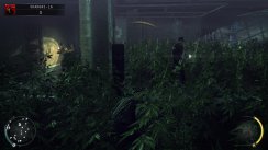 Hitman: Absolution