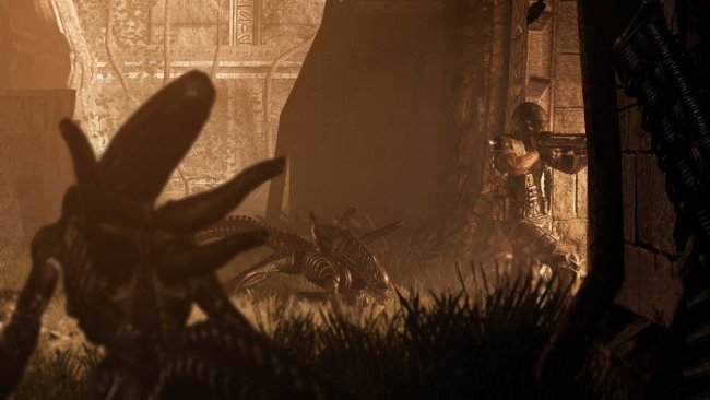 Aliens vs Predator