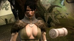 Dragon Age: Origins