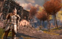 Guild Wars 2