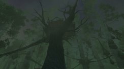 The Secret World