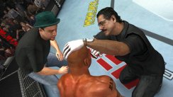 UFC 2009: Undisputed