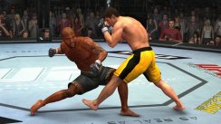 UFC 2009: Undisputed