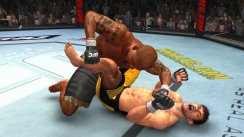 UFC 2009: Undisputed