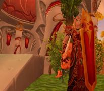 World of Warcraft