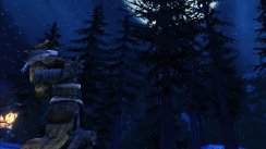 Neverwinter