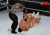 WWE 12