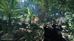 Crysis