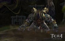 Tera