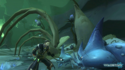 Wildstar