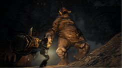 Dragon's Dogma