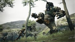Dragon's Dogma