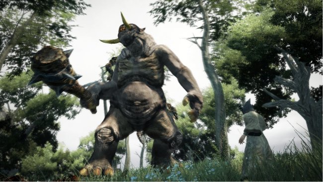 Dragon's Dogma