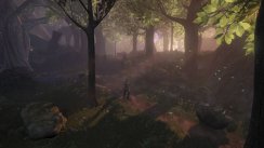 Fable II