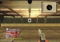 Gun