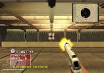 Gun