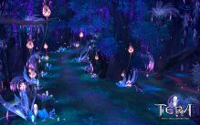 Tera