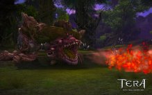 Tera