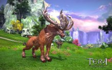 Tera