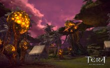 Tera