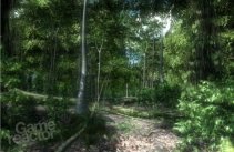 Crysis