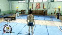 Sleeping Dogs