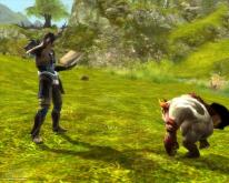 Aion