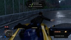 Sleeping Dogs