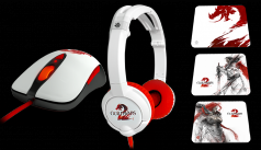 Guild Wars 2
