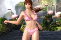 Dead or Alive 5