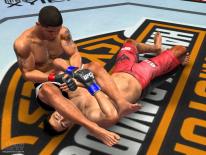 UFC 2009: Undisputed