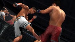 UFC 2009: Undisputed