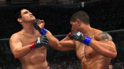 UFC 2009: Undisputed