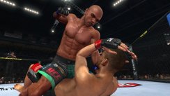 UFC 2010 Undisputed