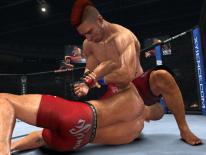 UFC 2010 Undisputed
