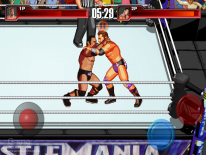WWE Wrestlefest