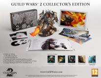 Guild Wars 2