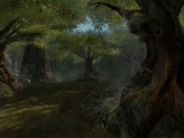 Lord of the Rings