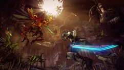 Borderlands 2